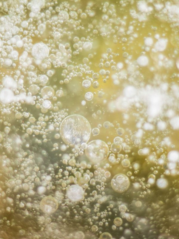 bubble bubble